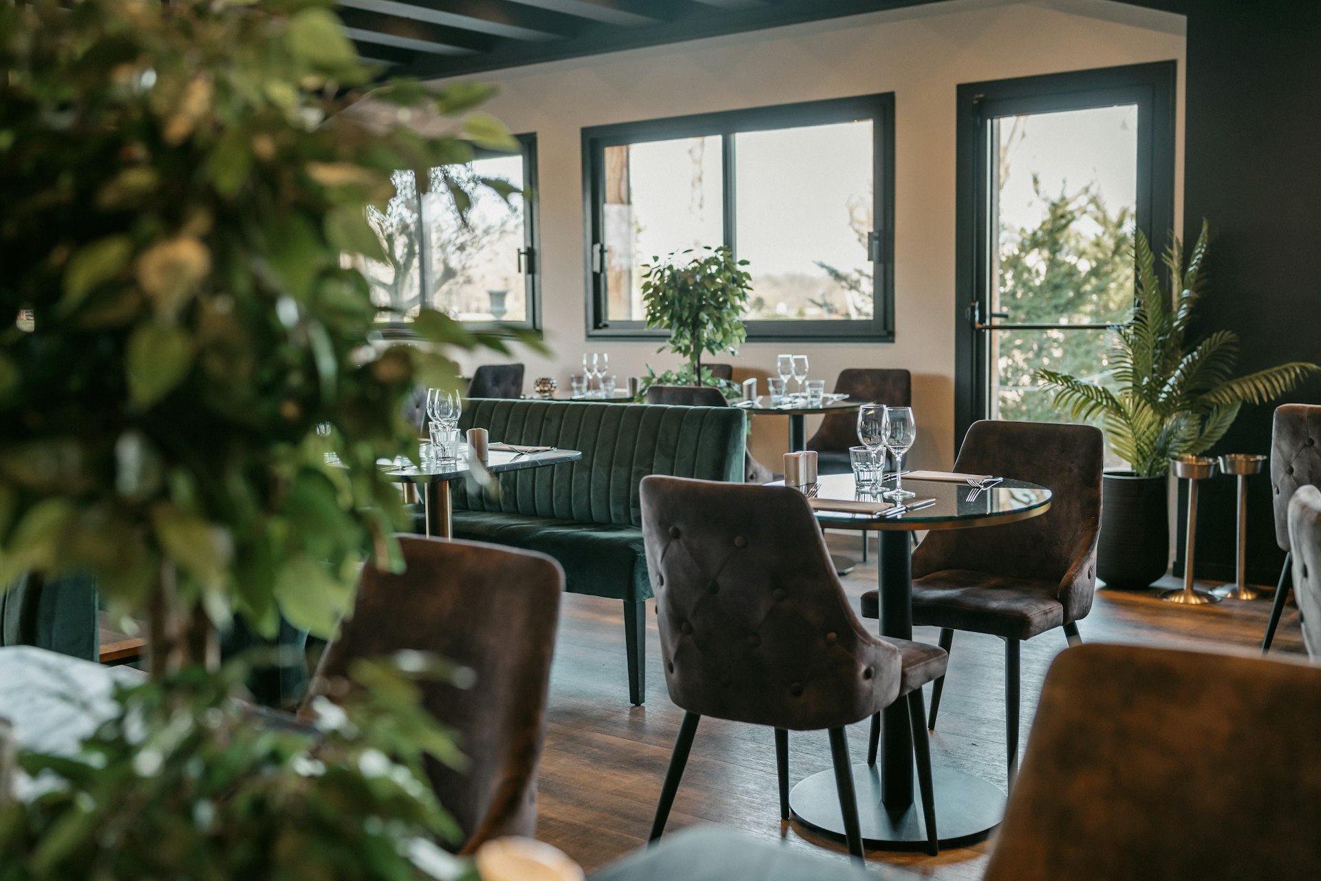 un restaurante con mesas, sillas y plantas